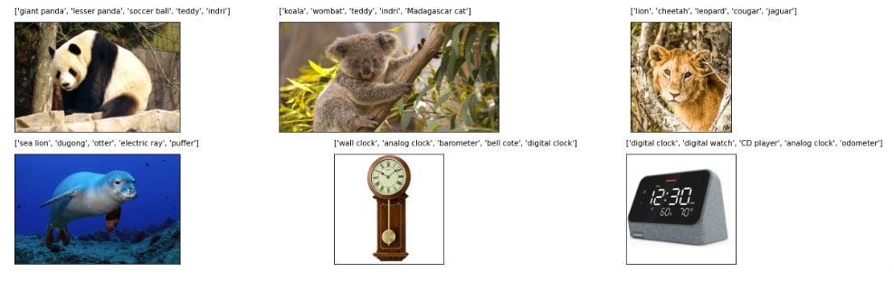 MXNet (GluonCV): Image Classification using Pre-Trained Models