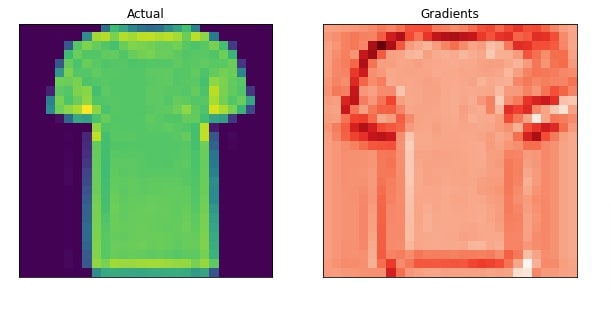 PyTorch: Grad-CAM