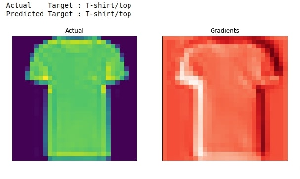 PyTorch: Grad-CAM