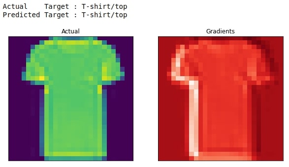 PyTorch: Grad-CAM