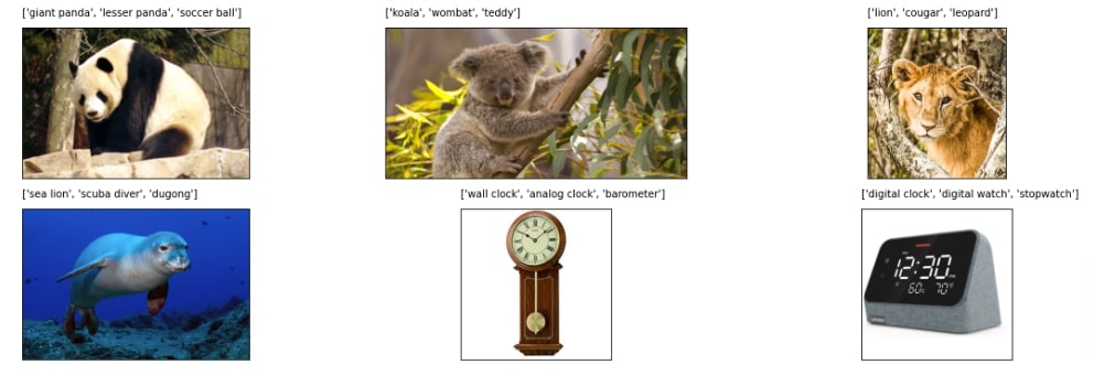 PyTorch: Image Classification using Pre-Trained Models