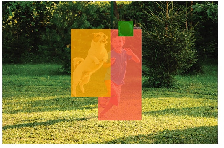 PyTorch: Image Segmentation using Pre-Trained Models (torchvision)