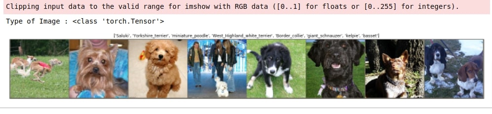 Transfer Learning using PyTorch (Image Classification)