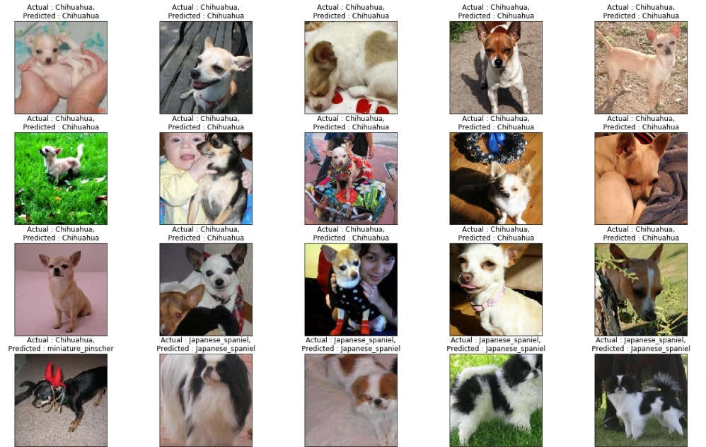 Transfer Learning using PyTorch (Image Classification)