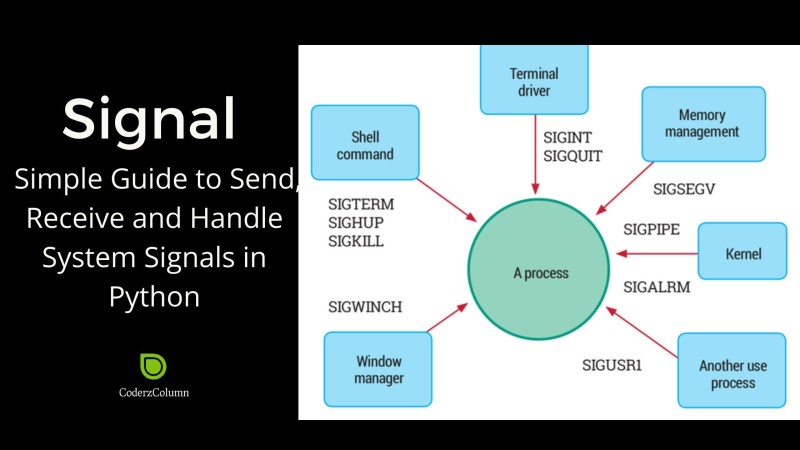 signal - Simple Guide to Send, Receive and Handle System Signals in Python