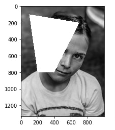 How to Draw Shapes on Images using Scikit-Image [Python]?