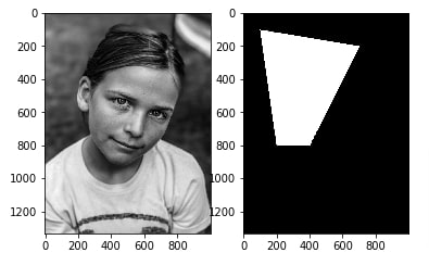 How to Draw Shapes on Images using Scikit-Image [Python]?