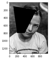 How to Draw Shapes on Images using Scikit-Image [Python]?