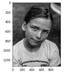 How to Draw Shapes on Images using Scikit-Image [Python]?