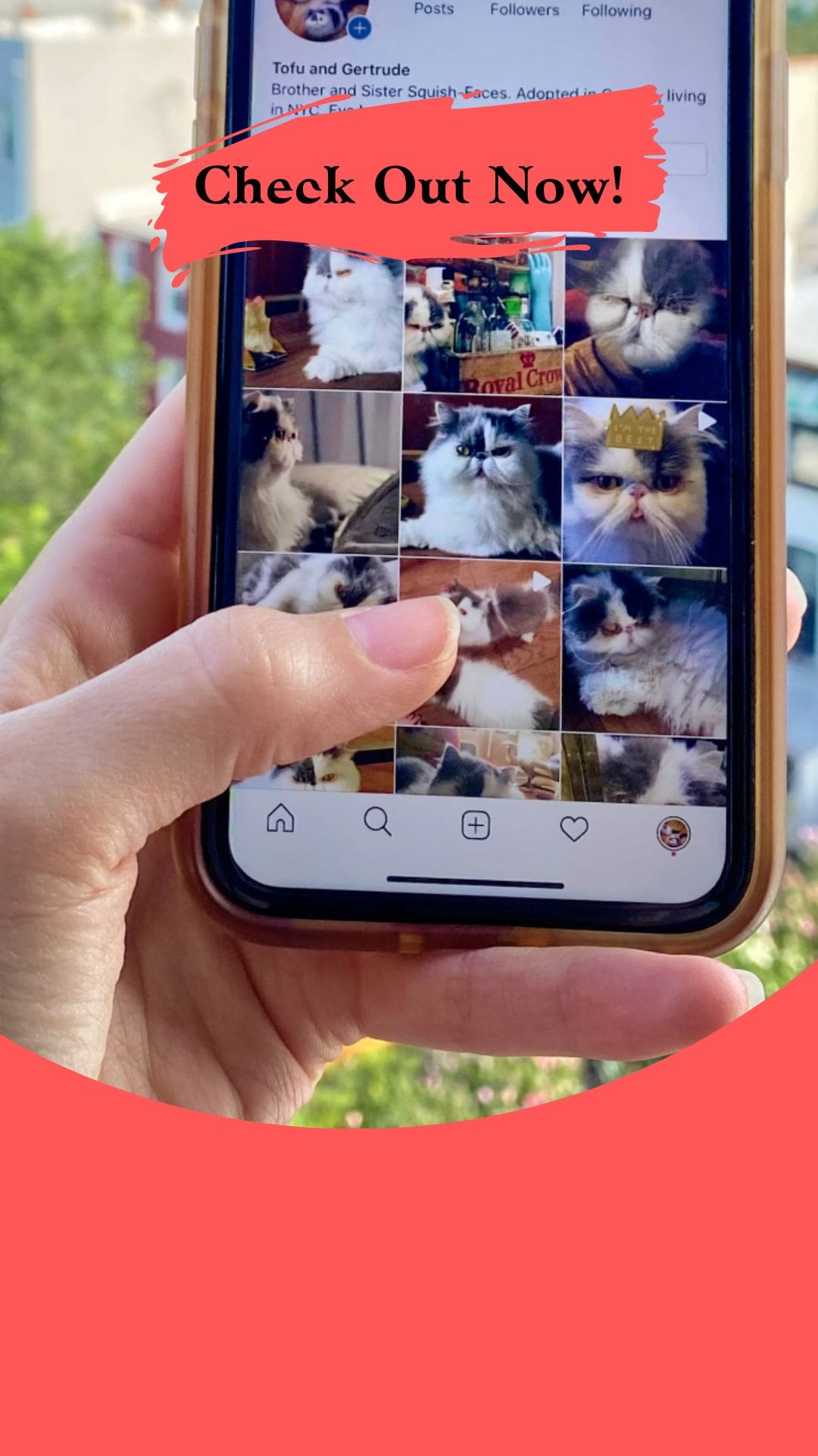 Best Instagram Marketing Tools